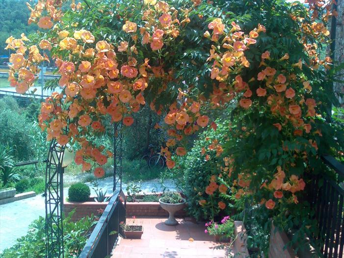La Magione Hotel Serravalle Pistoiese Luaran gambar